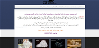 فروشگاه کت استار