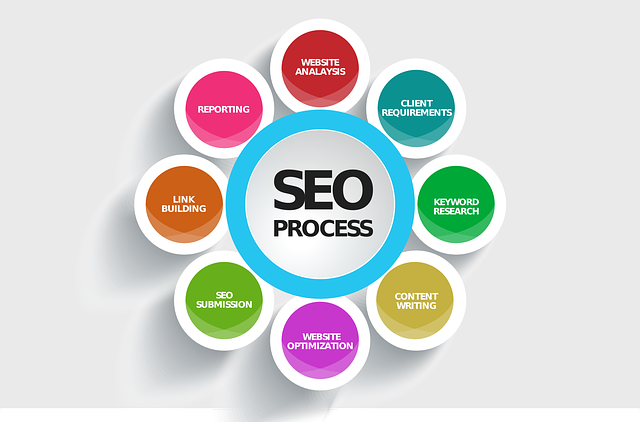 تفاوت SEO و SEM چیست؟